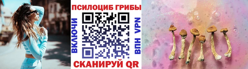 Псилоцибиновые грибы MAGIC MUSHROOMS  blacksprut ссылка  Нея 
